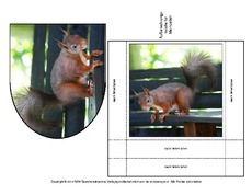Eichhörnchen-Merkzettel-5.pdf